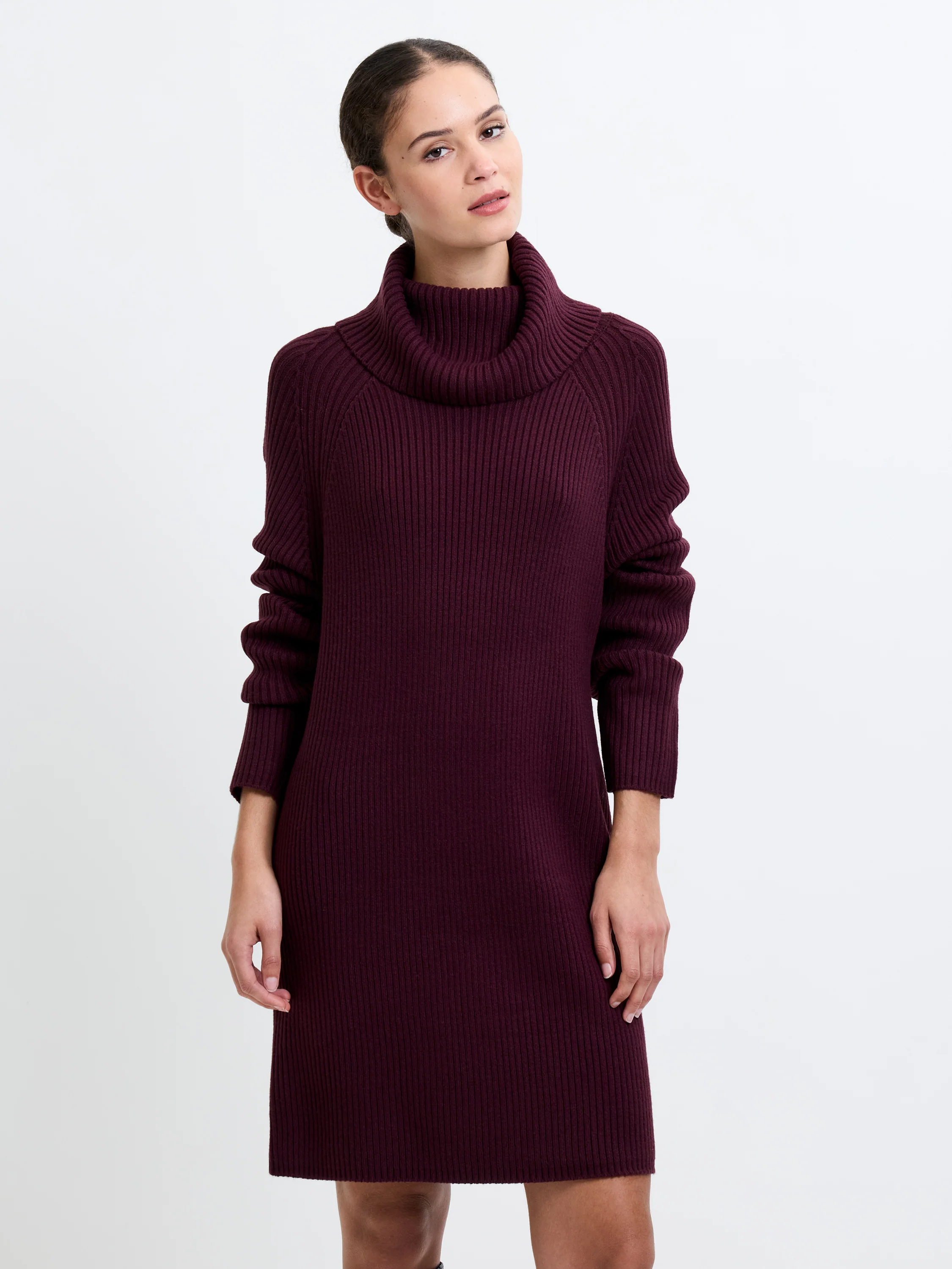 Babysoft Roll Neck Ribbed Knit Dress - Image 2