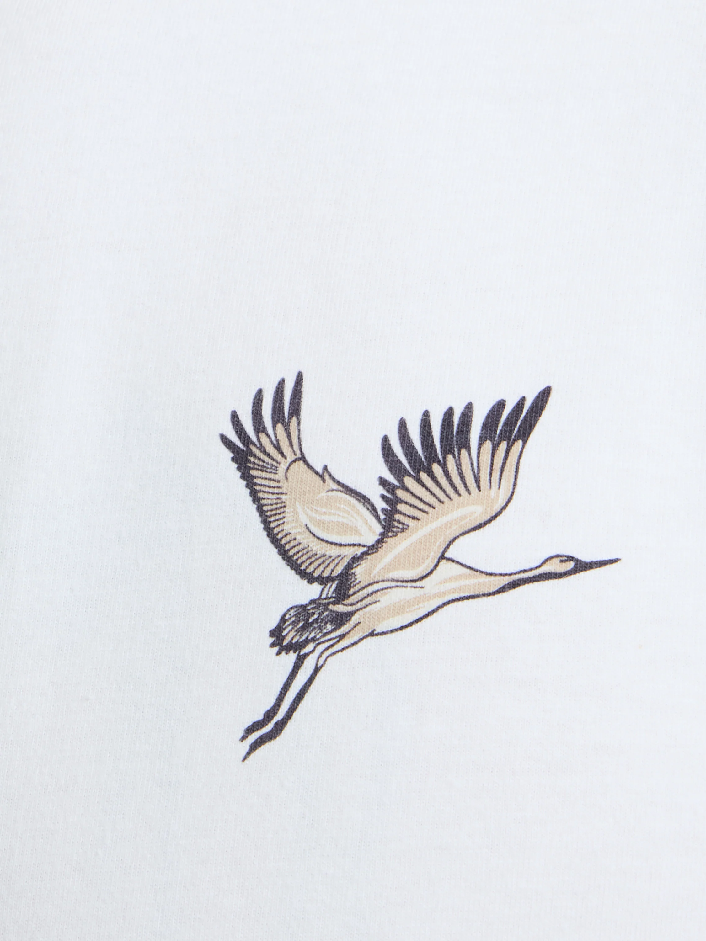 Cormorant Organic Graphic T-Shirt - Image 4
