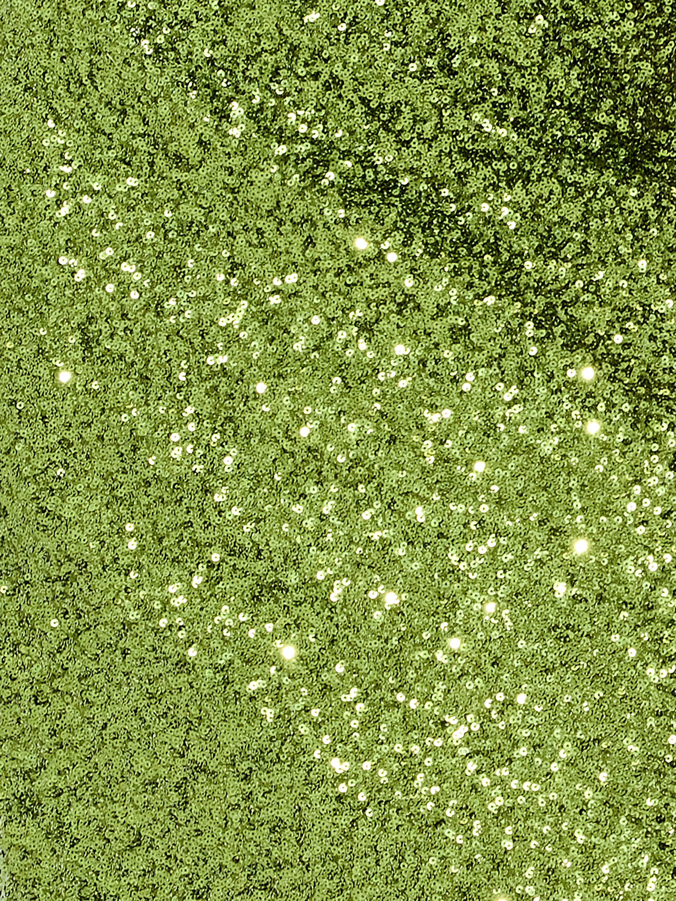 Elena Sequin Midi Skirt - Image 4