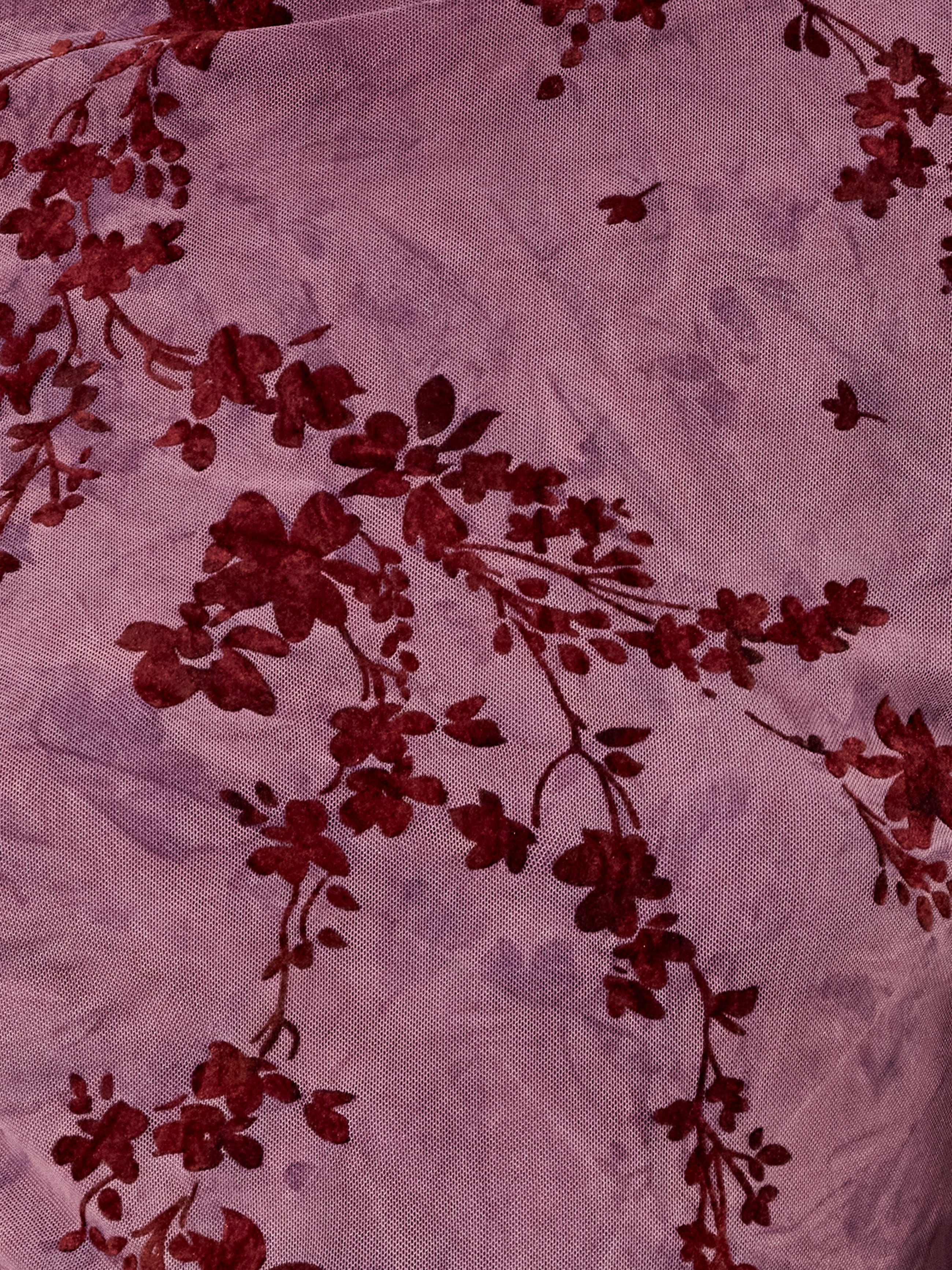 Kenny Mesh Velvet Devore Top - Image 3