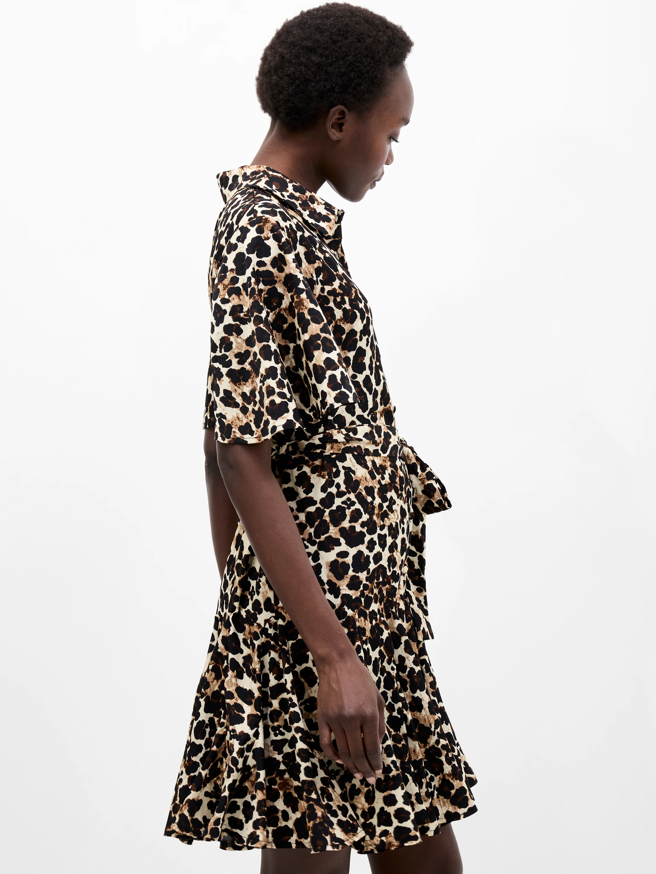 Leopard Print Short Sleeve Swing Dress - Image 2