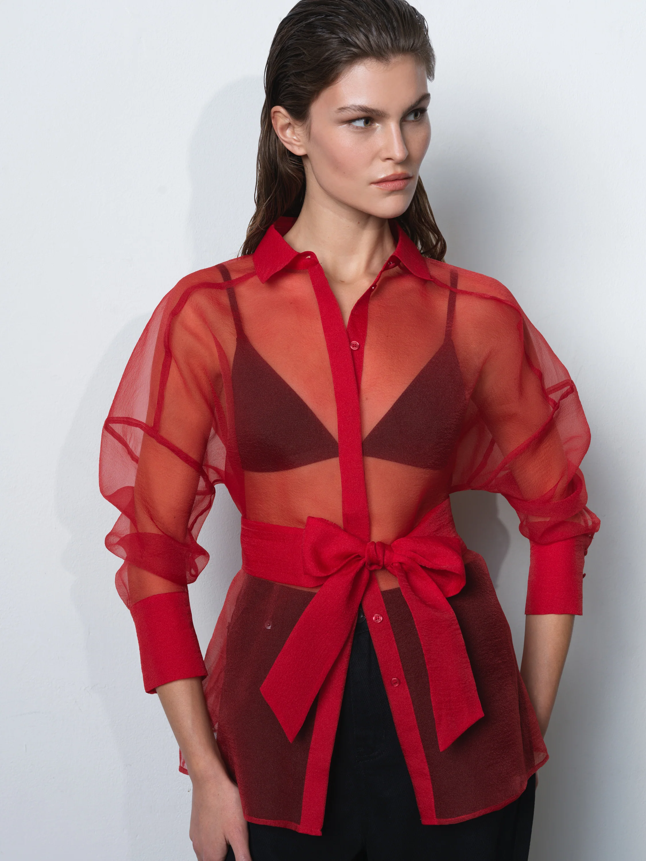 Mai Organza Tie Waist Shirt - Image 2