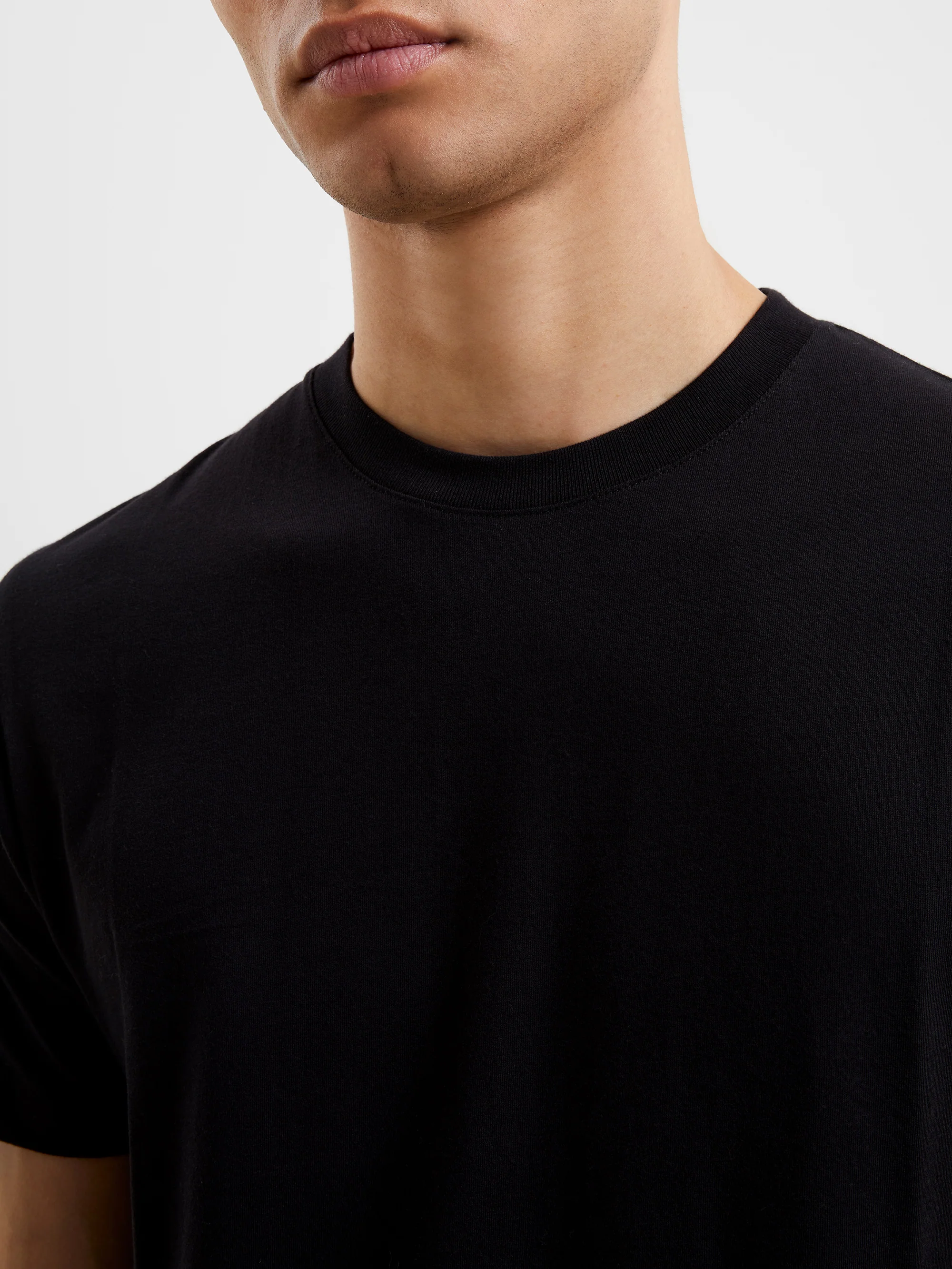 Organic Cotton Classic T-Shirt - Image 3