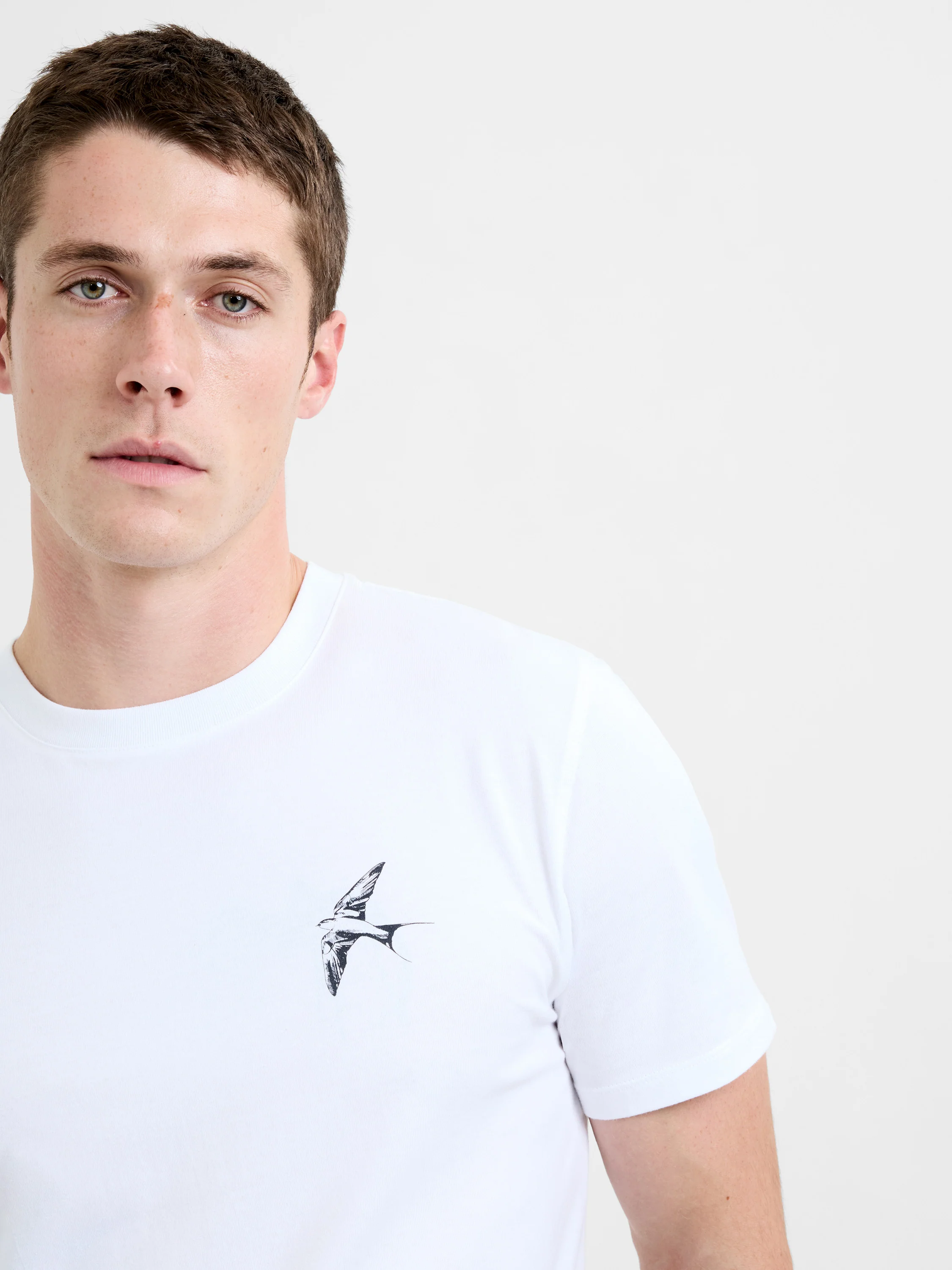 Swallow Bird Organic Graphic T-Shirt - Image 3